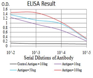Mouse Monoclonal Antibody to RAD23A