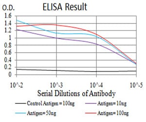 Mouse Monoclonal Antibody to RAD23A