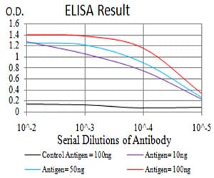 Mouse Monoclonal Antibody to mTOR