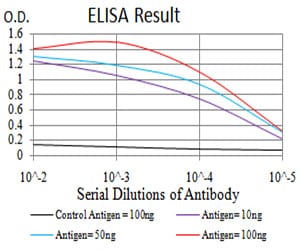 Mouse Monoclonal Antibody to BMP4