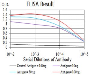 Mouse Monoclonal Antibody to BMP4