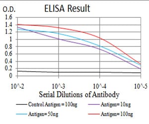 Mouse Monoclonal Antibody to FOXP3
