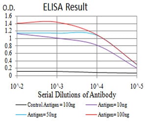 Mouse Monoclonal Antibody to FOXP3