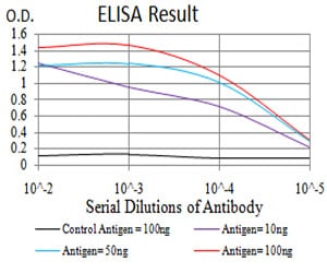 Mouse Monoclonal Antibody to HOXA9
