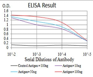 Mouse Monoclonal Antibody to SIRT3