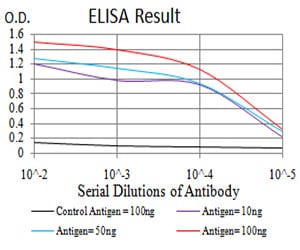 Mouse Monoclonal Antibody to SIRT3