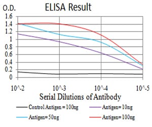 Mouse Monoclonal Antibody to FOXM1