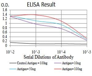 Mouse Monoclonal Antibody to CBX5