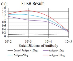 Mouse Monoclonal Antibody to RAD52
