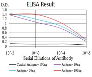 Mouse Monoclonal Antibody to ATG13