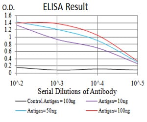 Mouse Monoclonal Antibody to ATG13