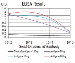 Mouse Monoclonal Antibody to CBX5