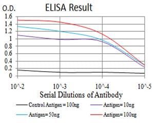 Mouse Monoclonal Antibody to AIM2