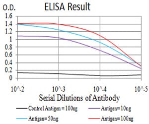 Mouse Monoclonal Antibody to JARID2