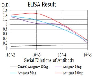 Mouse Monoclonal Antibody to DDX3X