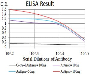 Mouse Monoclonal Antibody to DDX3X