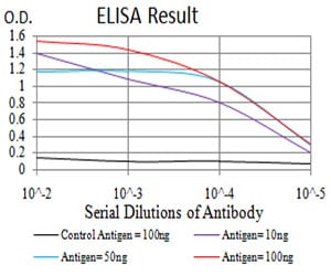 Mouse Monoclonal Antibody to GFPT1