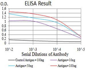 Mouse Monoclonal Antibody to GFPT1