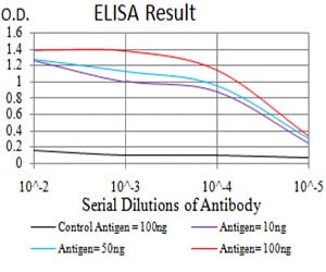 Mouse Monoclonal Antibody to HDAC6
