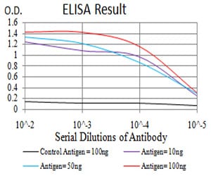 Mouse Monoclonal Antibody to Rab1b