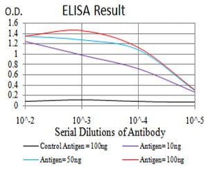 Mouse Monoclonal Antibody to RAD21