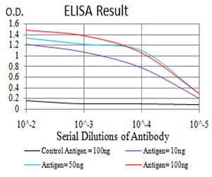 Mouse Monoclonal Antibody to VEGFA