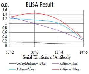 Mouse Monoclonal Antibody to ALDH6A1