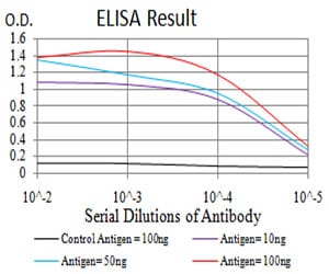 Mouse Monoclonal Antibody to RAD50