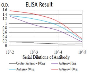 Mouse Monoclonal Antibody to RAD50