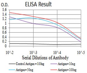 Mouse Monoclonal Antibody to MAP2K3
