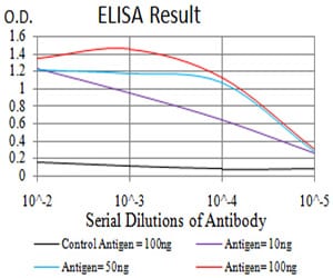 Mouse Monoclonal Antibody to DNMT1