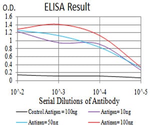 Mouse Monoclonal Antibody to CGB