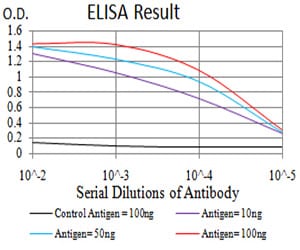 Mouse Monoclonal Antibody to AKT1