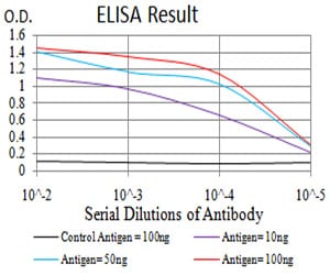 Mouse Monoclonal Antibody to AKT1