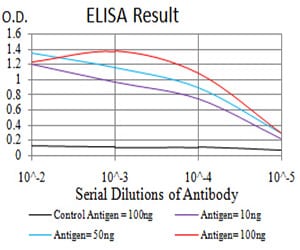 Mouse Monoclonal Antibody to UCP3