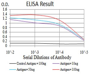 Mouse Monoclonal Antibody to SEC31A