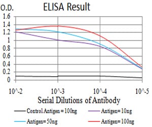 Mouse Monoclonal Antibody to XRN2