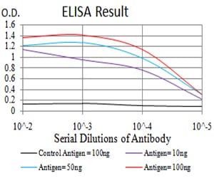 Mouse Monoclonal Antibody to XRN2