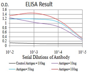 Mouse Monoclonal Antibody to DNMT3A