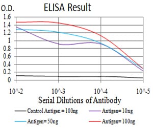 Mouse Monoclonal Antibody to ARF1