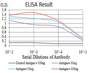 Mouse Monoclonal Antibody to Rab6b