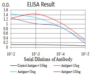 Mouse Monoclonal Antibody to KDM1A