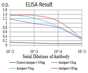 Mouse Monoclonal Antibody to KDM1A