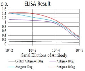 Mouse Monoclonal Antibody to PLD2