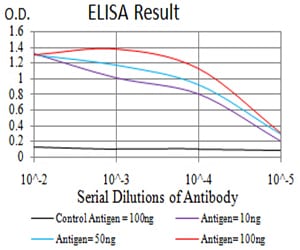 Mouse Monoclonal Antibody to PGRMC1