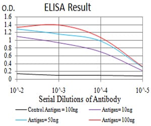 Mouse Monoclonal Antibody to SMAD1