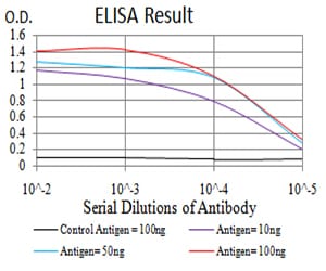 Mouse Monoclonal Antibody to SMAD1