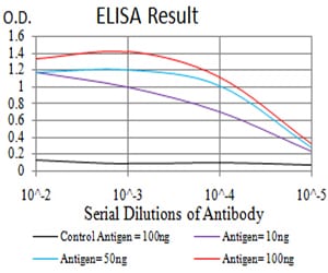 Mouse Monoclonal Antibody to TTF1
