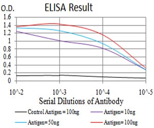 Mouse Monoclonal Antibody to TTF1