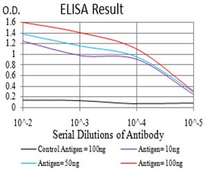 Mouse Monoclonal Antibody to MAPK10